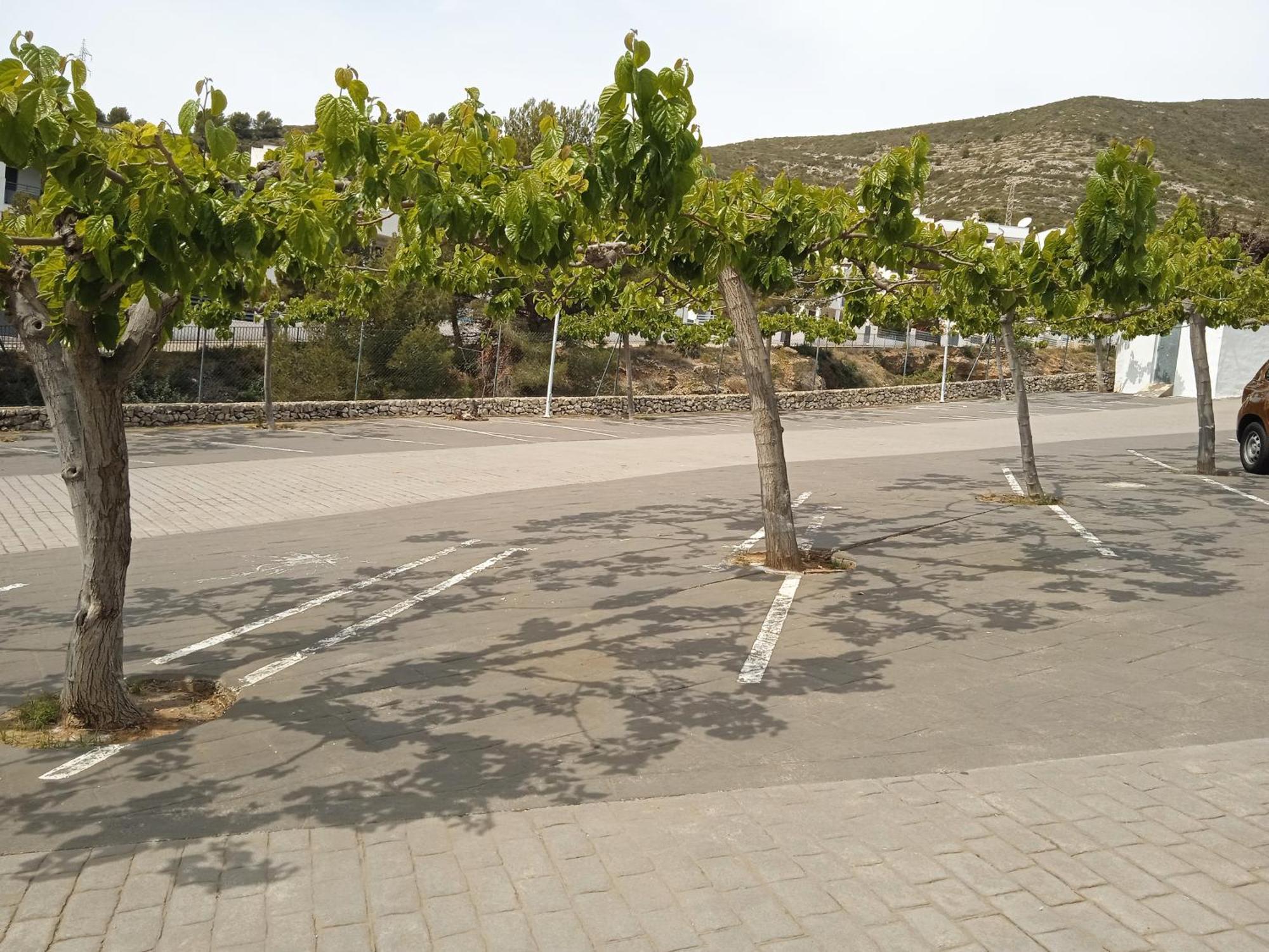Apartamentos Tierra De Irta 3000 Peñíscola Exterior foto